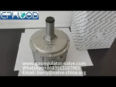 FGDR32/50 Model Aluminium Gas Pressure Regulator With Built In Filter Italy Giuliani Anello Made