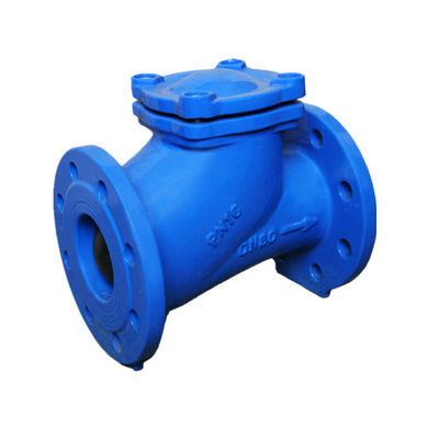 316 Ss Check Valve Stainless Steel Ball Check Valve Back Pressure Retention Swing Type