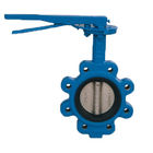 DN65 Industrial Water Butterfly Valve Sewage Wafer Style Butterfly Valve
