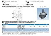 FGDR32/50 Model Aluminium Gas Pressure Regulator With Built In Filter Italy Giuliani Anello Made