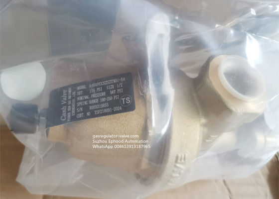 High Capacity Pressure Regulating Valve